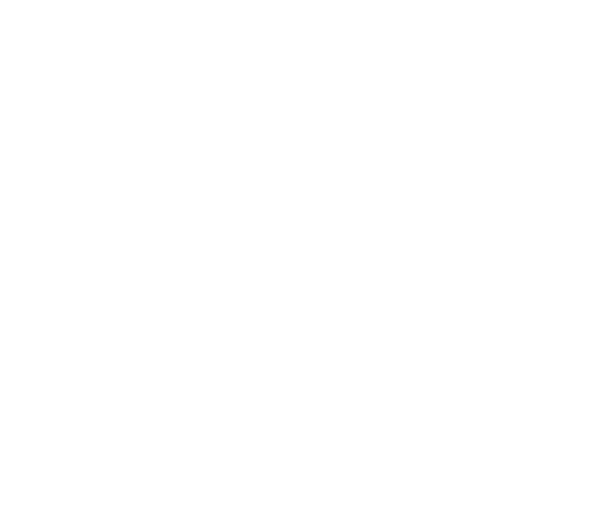Nacho Character